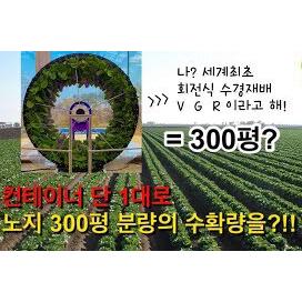 컨테이너 1대에서 노지300평 분량의 상추를 재배한다?! /도넛팜 - 스마트팜이란 이런것!